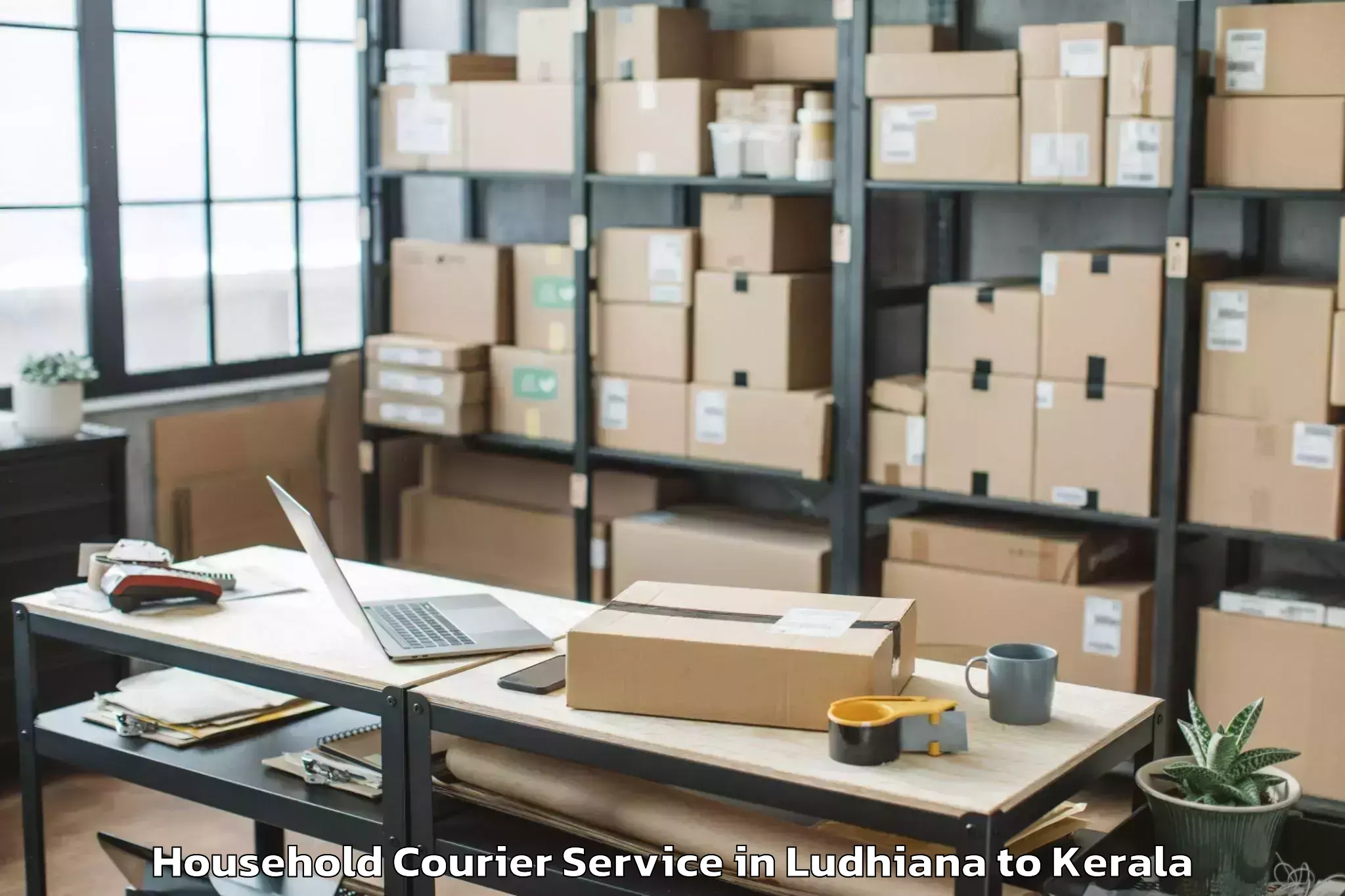 Reliable Ludhiana to Thenhipalam Household Courier